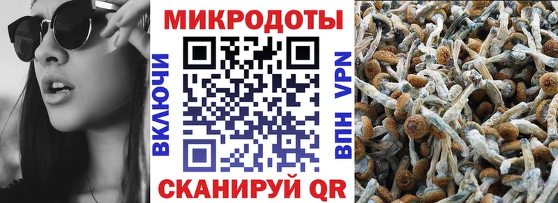 где продают наркотики  Добрянка  Галлюциногенные грибы ЛСД 