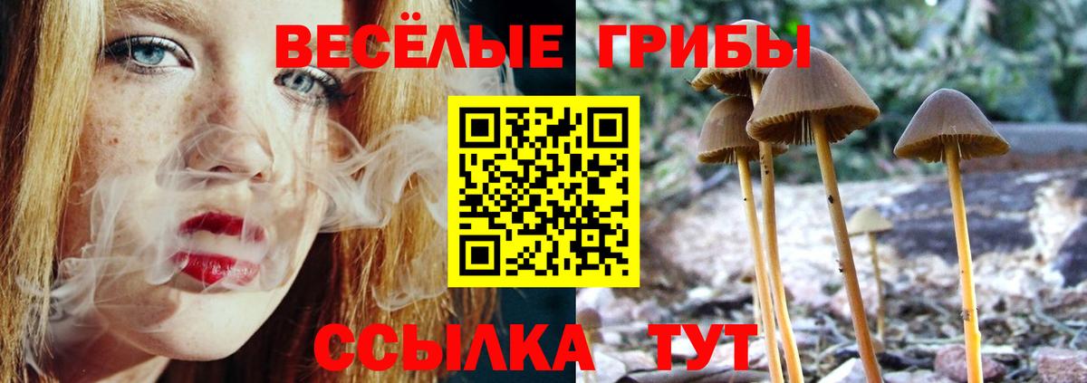 Добрянка  Галлюциногенные грибы GOLDEN TEACHER  купить наркотики сайты  Галлюциногенные грибы GOLDEN TEACHER  Вход с VPN 